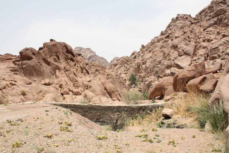 Figure 2 Wadi Shagg water dam, built by an NGO above 1,800 m ASL. Note the high sedimentation rate in front of the water dam following a single runoff event. Photo by Sinai Peninsula Research (SPR), 4 August 2015. Figure 2 Wadi Shagg water dam, built by an NGO above 1,800 m ASL. Note the high sedimentation rate in front of the water dam following a single runoff event. Photo by Sinai Peninsula Research (SPR), 4 August 2015.