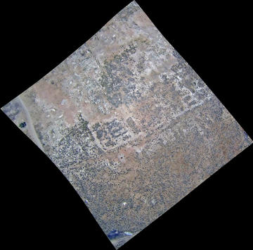 Figure 7: Tell Timai in the eastern Delta, southern area. Courtesy of the Tell Timai Archaeological Project. Figure 7: Tell Timai in the eastern Delta, southern area. Courtesy of the Tell Timai Archaeological Project.