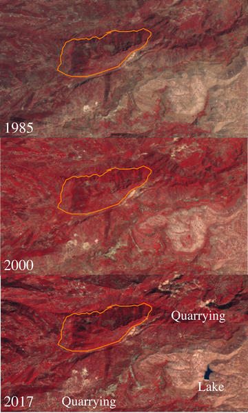 Figure 5: Three composite Landsat satellite images from 01-01-1985 to 01-01-1986 (L5, bands 4, 3 and 2), 01-01-2000 to 01-01-2001 (L7, bands 4, 3 and 2) and 01-01-2017 to 01-01-2018 (L8, bands 5, 4 and 3), generated using Google Earth Engine (script by Lo